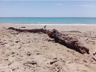 In Evidenza: <br>La fine dell’estate. <br>Questo è un post sentimentale 